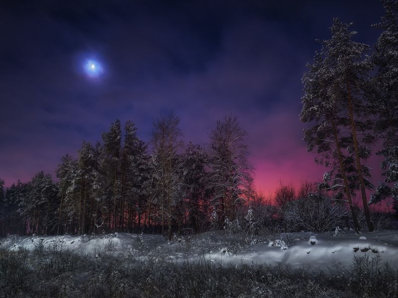 Предрассветное фото превью