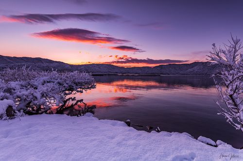 Winter Morning