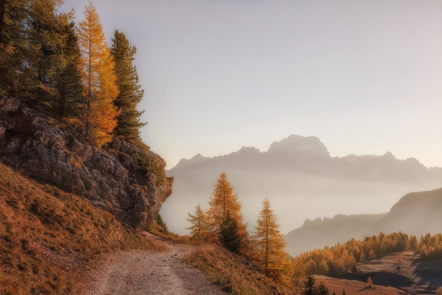 , Игорь Дубровский