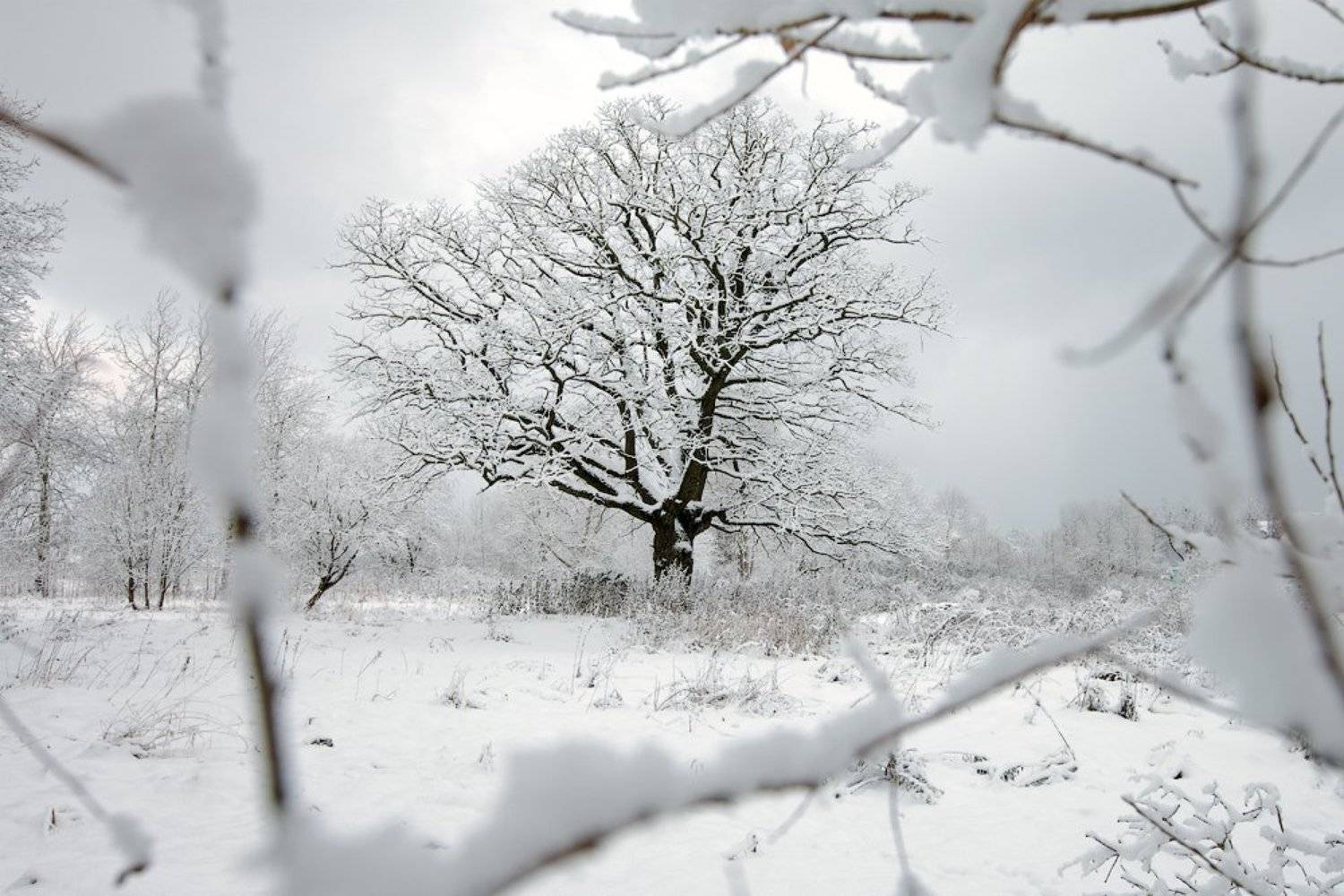 зима, пейзаж, окошко, Aleksandr Kljuchenkow