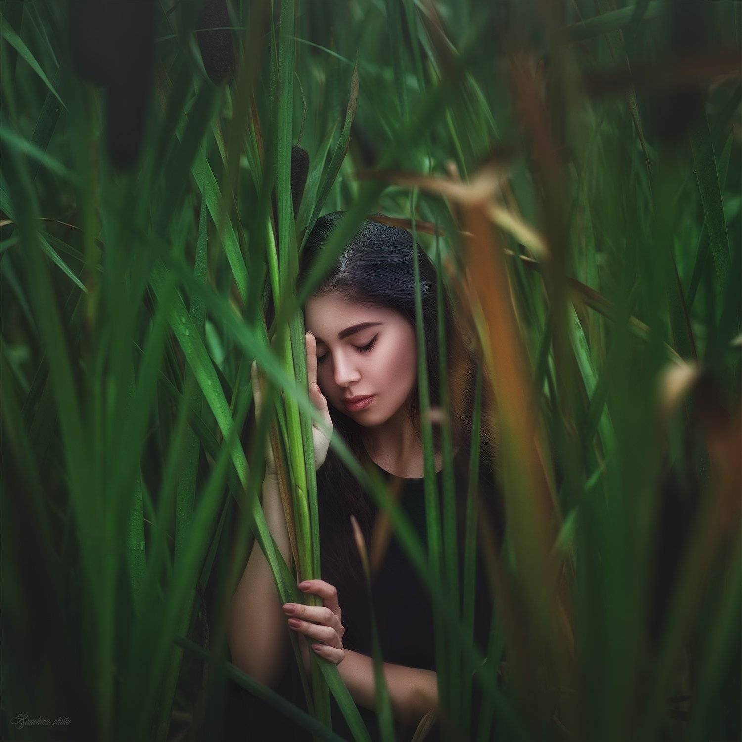 девушка, портрет, камыши, зеленый, лето, весна, туман, утро, рассвет, роса, girl, portrait, fog, sunrise, green, summer, down, spring, dew, Марина Семёхина