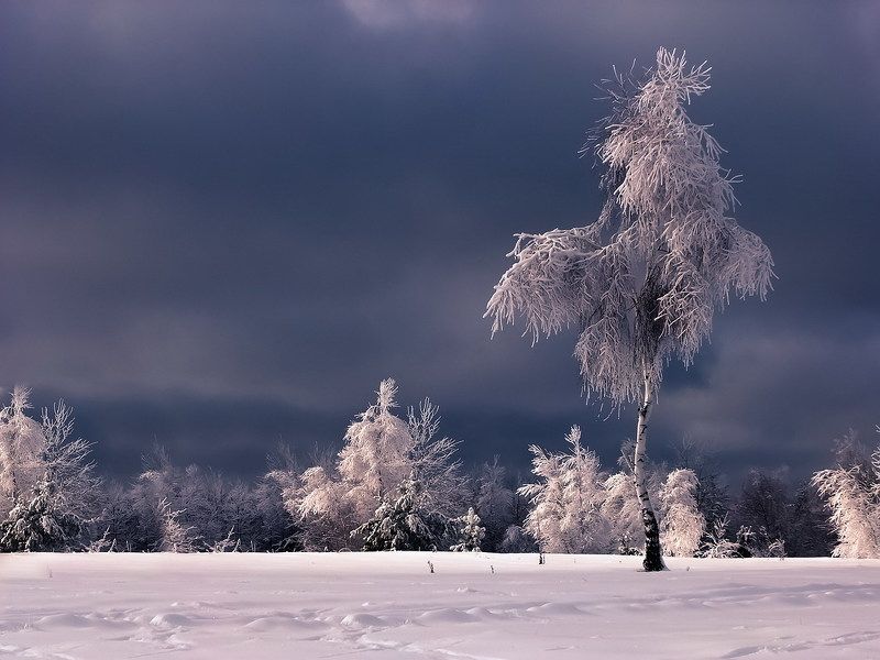 Мир Вашему дому фото превью