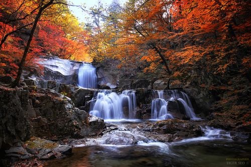 fall