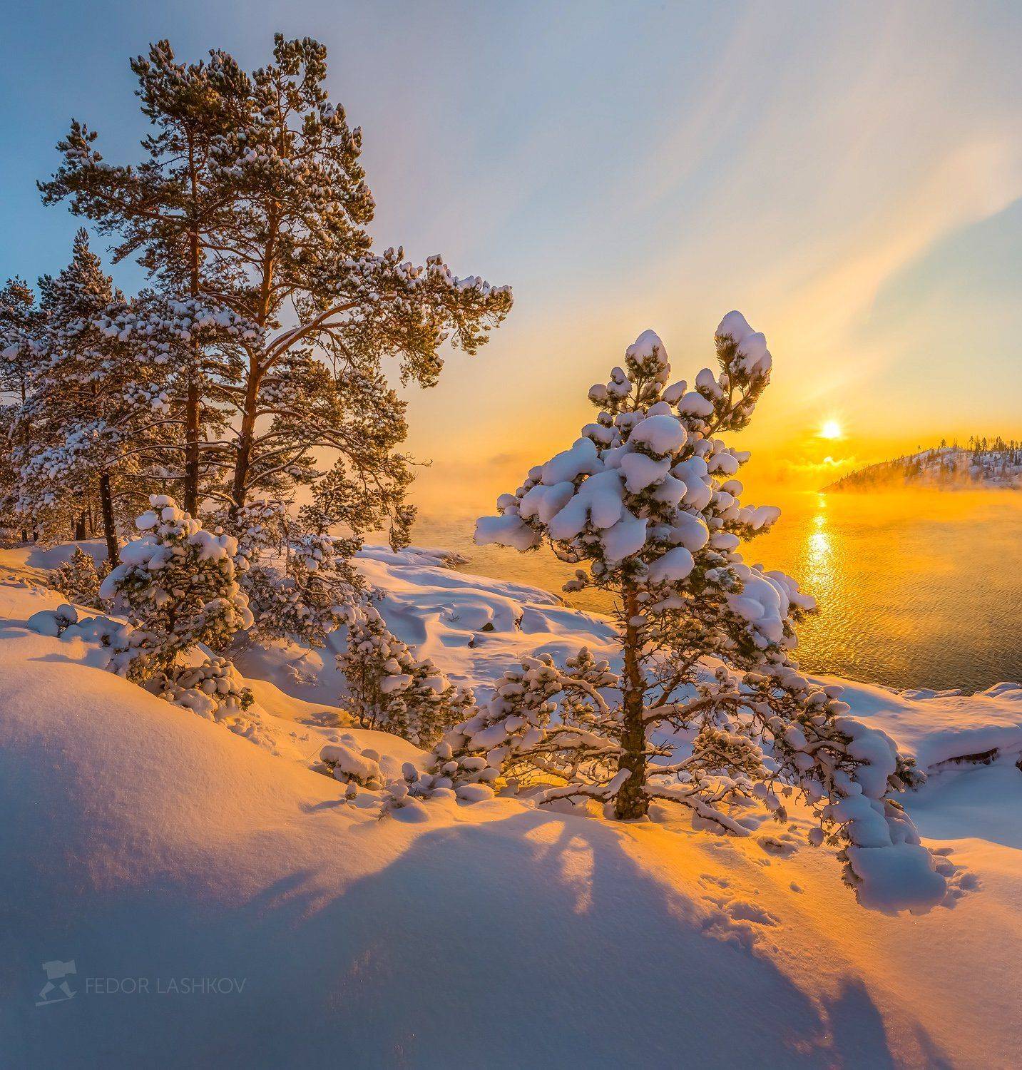 карелия, новый год, зима, снег, рассвет, солнце, вода, залив, ладожское озеро, сосна, дерево,, Лашков Фёдор