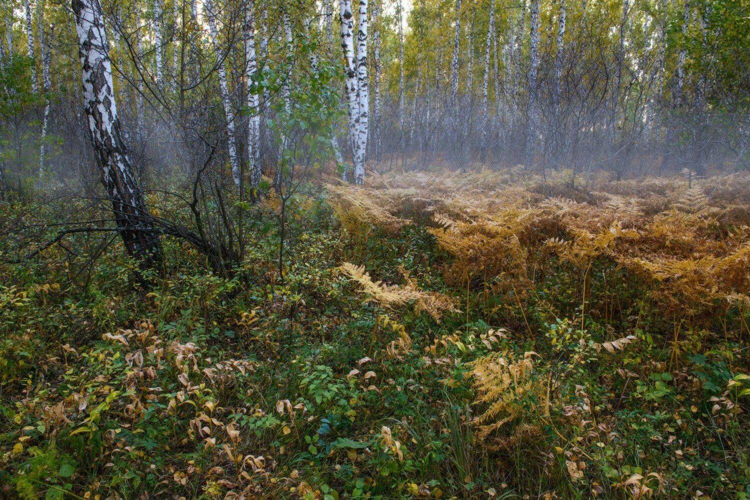 , Кутыгин Эдуард