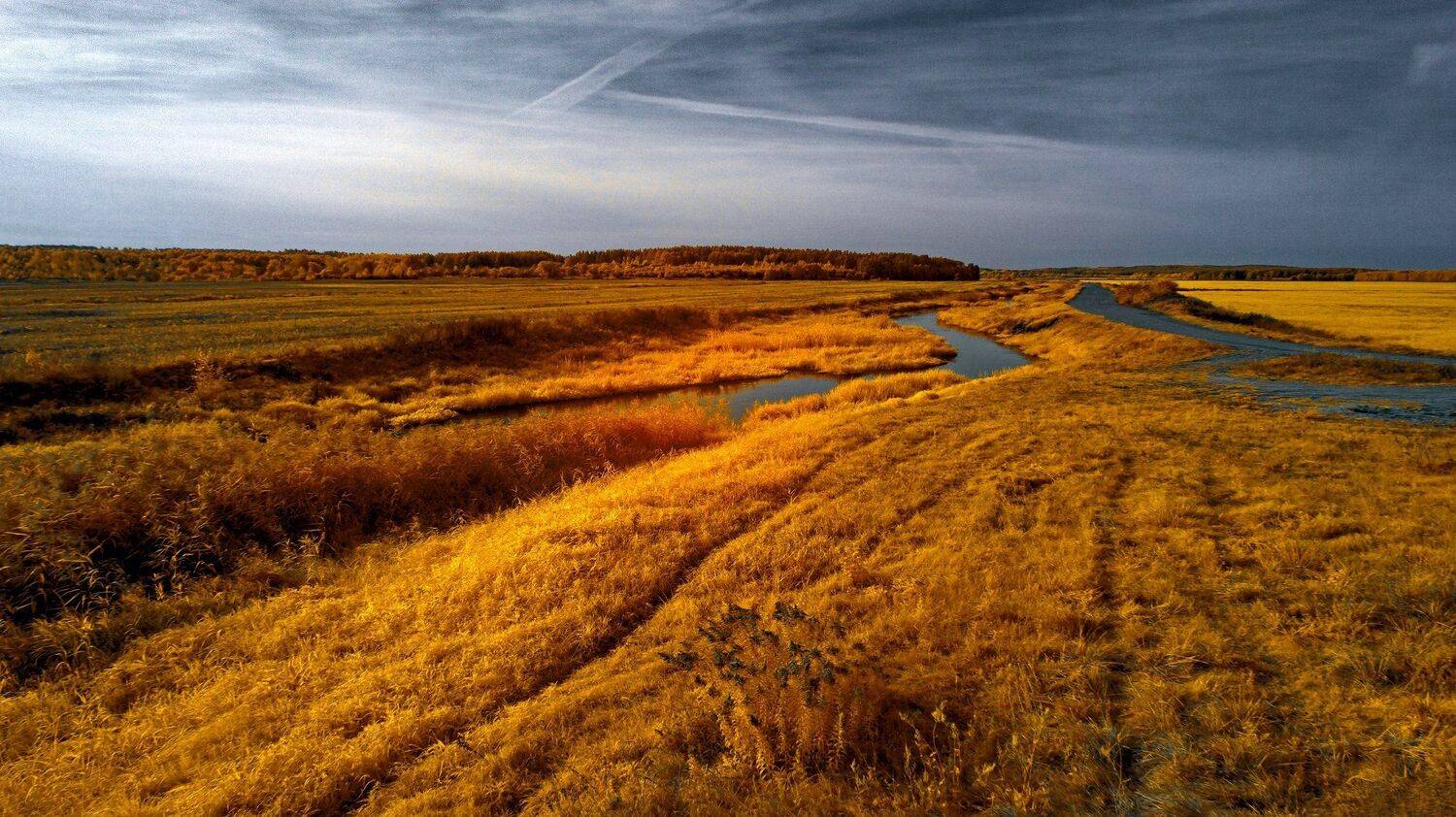 infrared,ик-фото,инфракрасное фото,инфракрасная фотография,пейзаж,природа,беларусь,осень, Sixten ( Сергей )