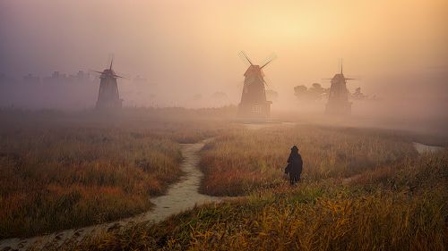 woman in fog