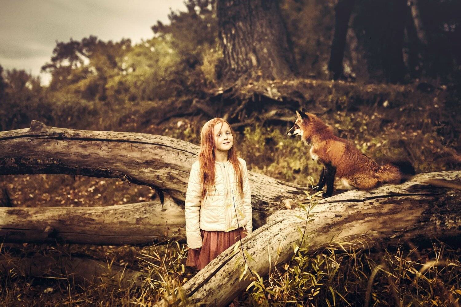 35mm, 4x5, 6x6, 6х6, 85mm, Art, Art nude, Ballerina, Ballet, Battur, Beautiful, Beauty, Canon, Canon 5D Mark III, Car, Color, Dance, Dress, Emotion, Eyes, Face, Flowers, Ganzo, Genre, Girl, Hair, Hero, Irinadzhul, Light, Lilac, Model, Mongol, Mongolia, Mo, Вероника Гергерт