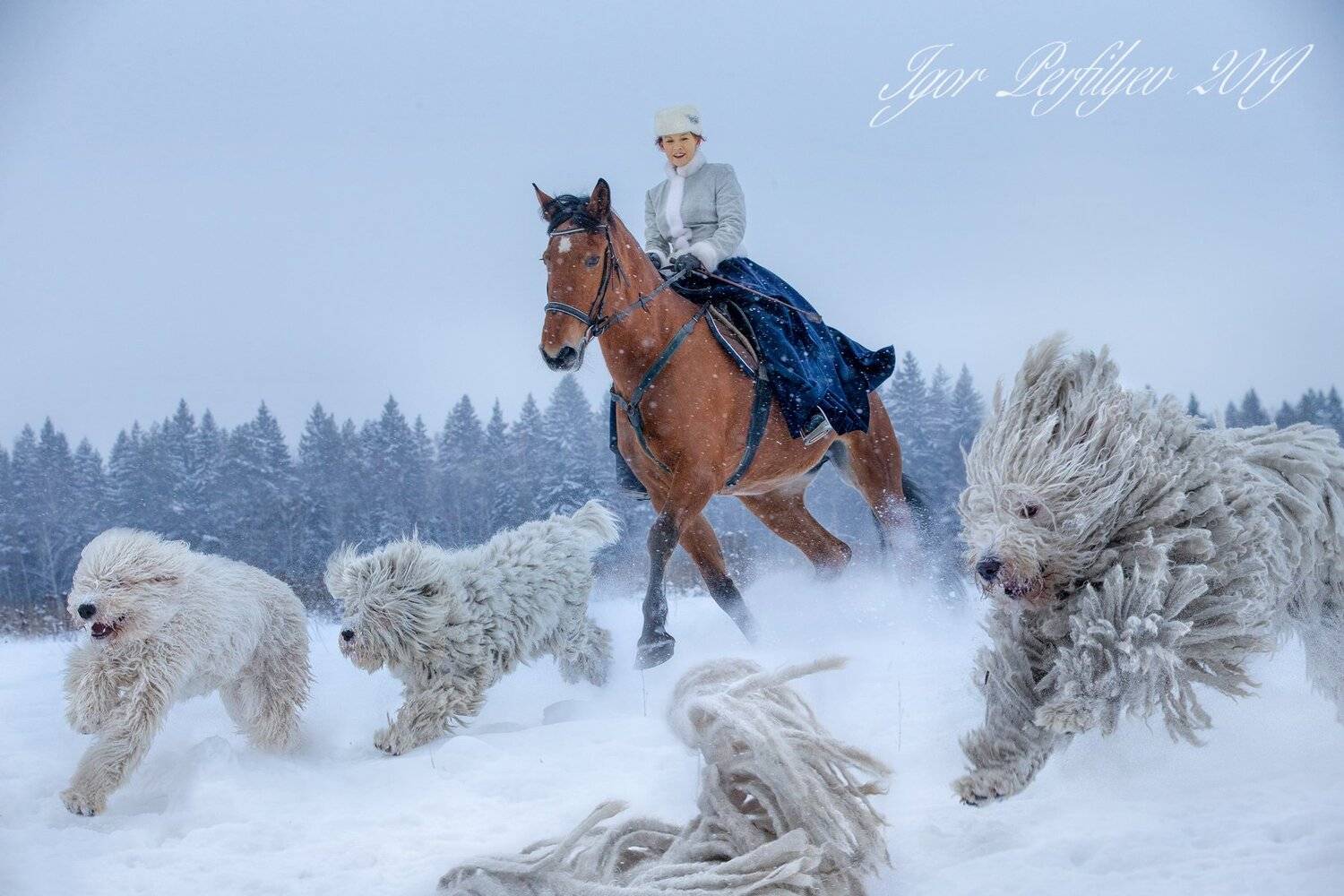 , игорь перфильев