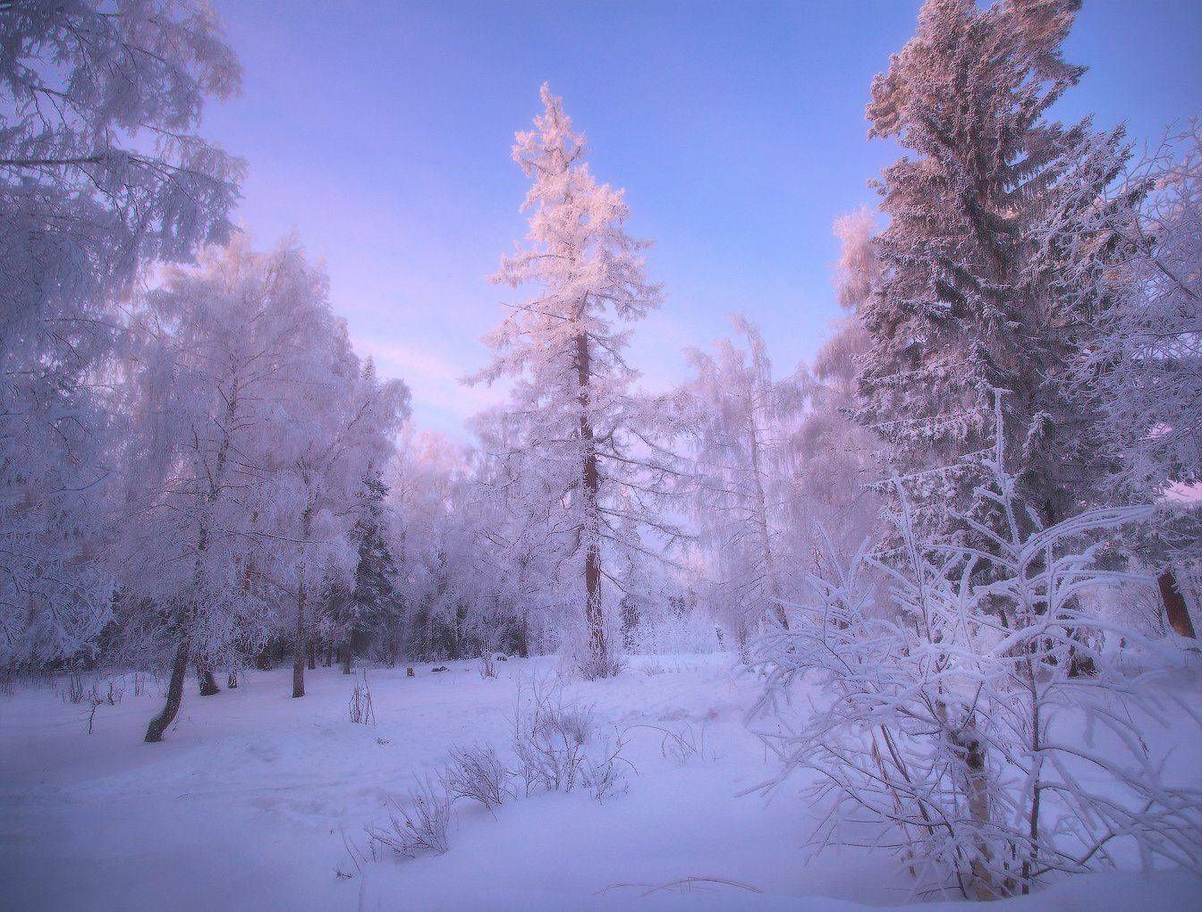 урал, Владимир Ляпин