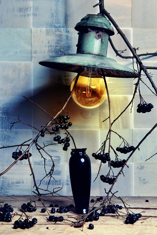 place under the sun фото превью