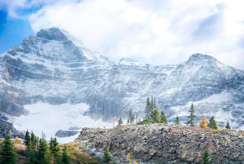 канада, йохо, национальный парк, гора биддл, пейзажи, природа, лиственница, деревья, канадские скалистые горы, осенний сезон, британская колумбия, британская колумбия, canada, yoho, national park, mount biddle, landscapes, nature, larch, trees, canadian r Rocky icebergs фото превью
