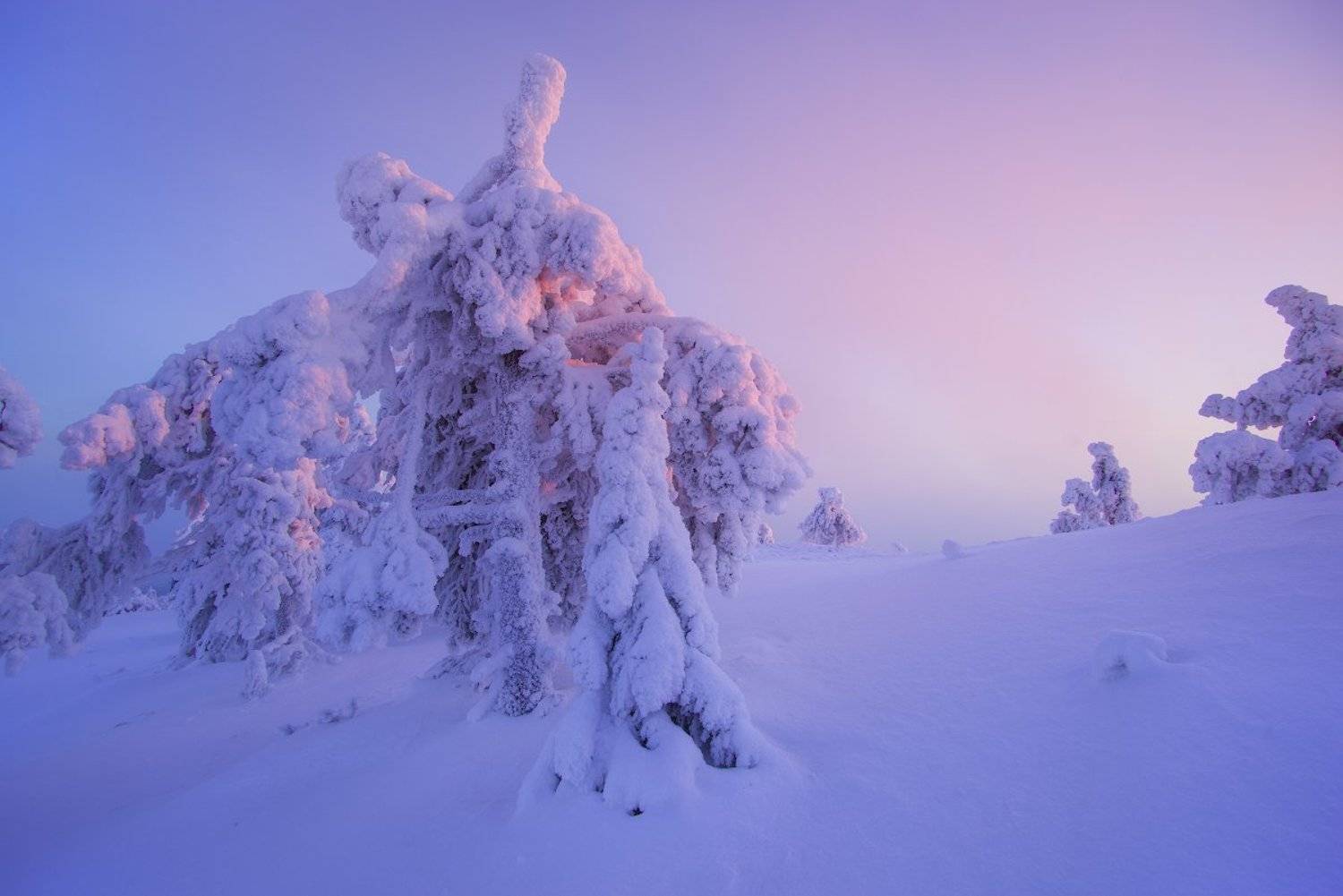 , Романский Владимир (NikonZoom)