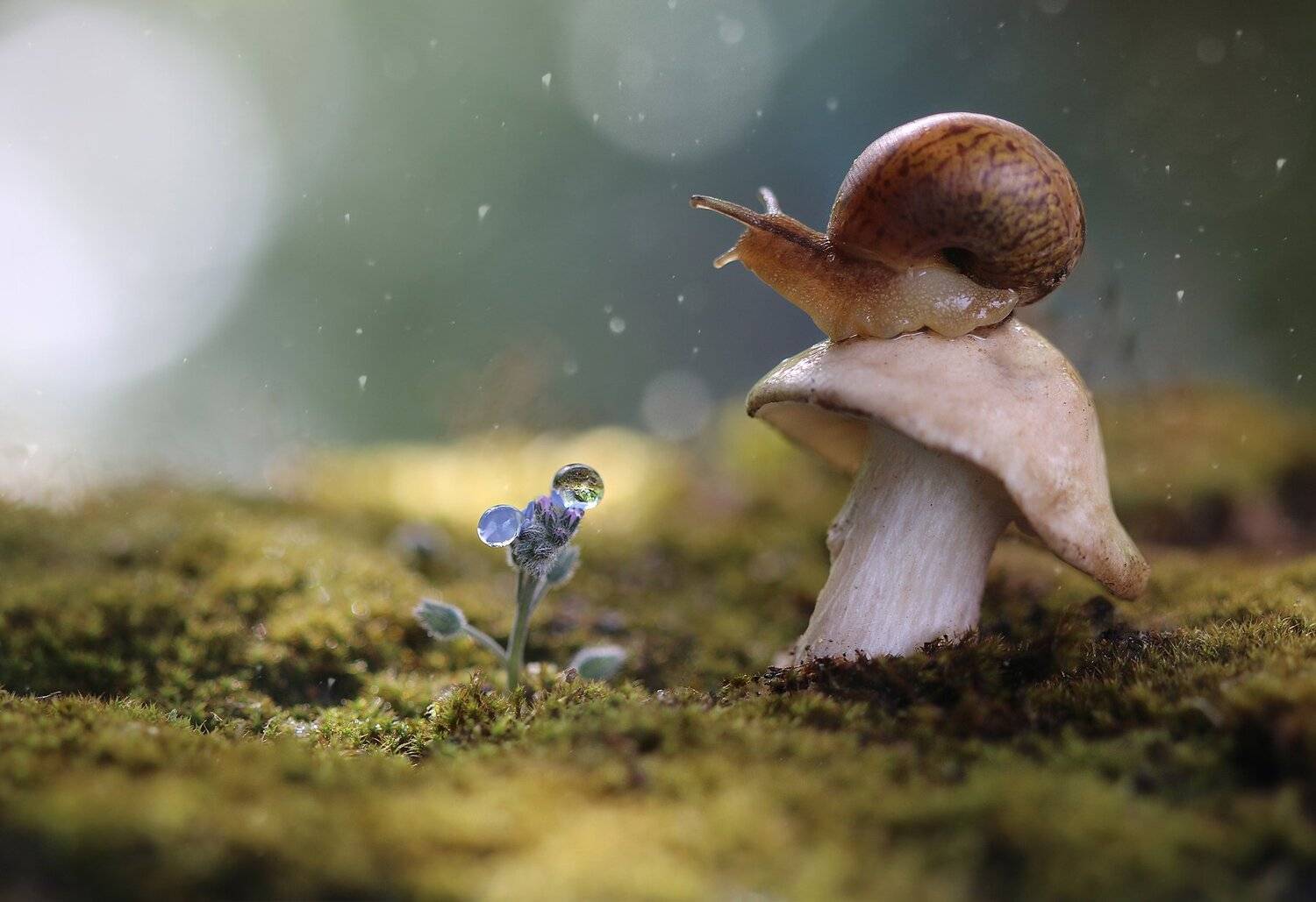 , Людмила Гудина