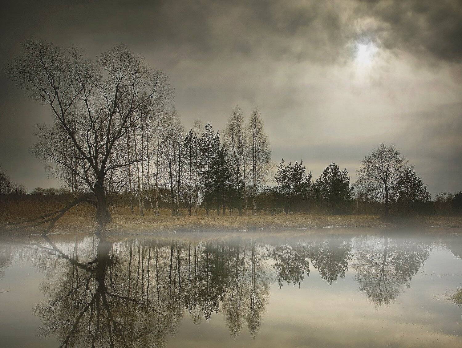 .... Автор: Krystian , Krystian