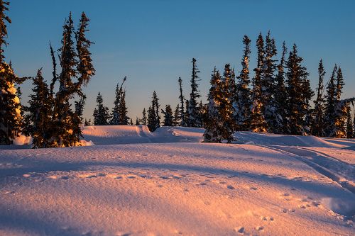 Pro апьсиновое утро на горе Зелелёной)