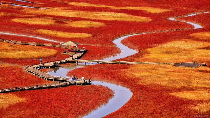 salt pond landscape Korea red stream water  salt pond фото превью