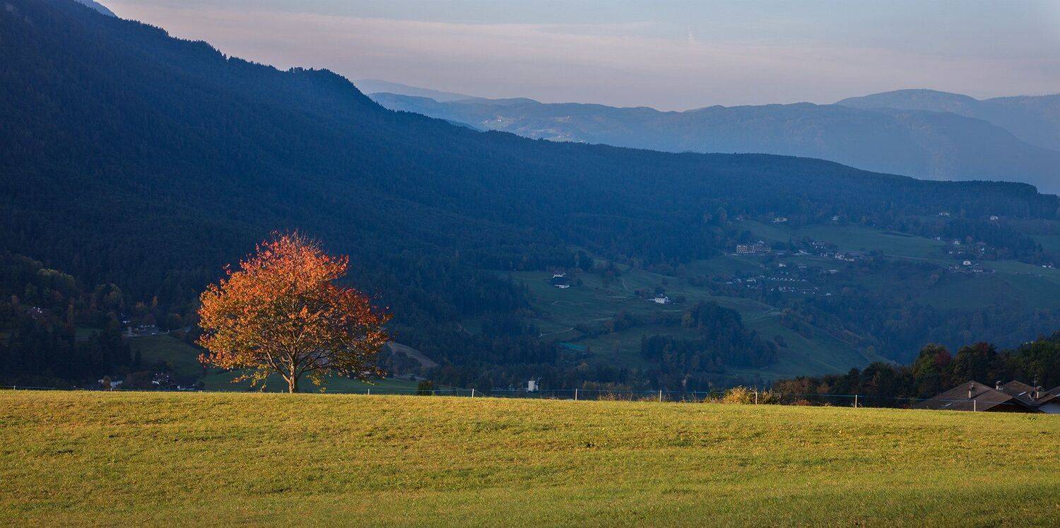 , Игорь Дубровский