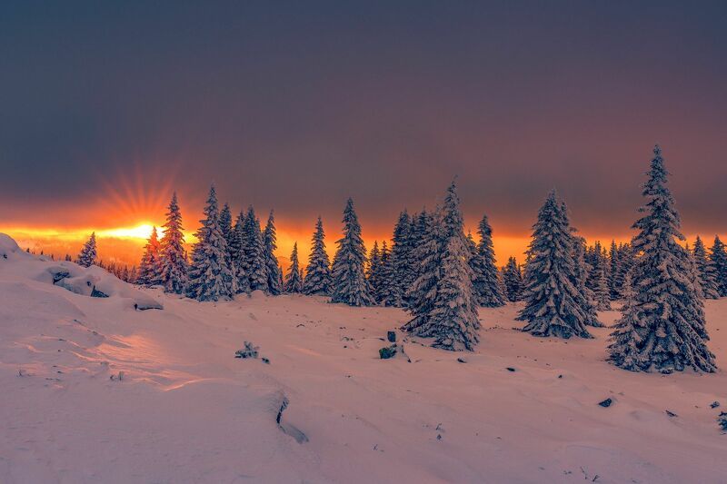 Первый зимний закат на горе Витоша в 2019 году...