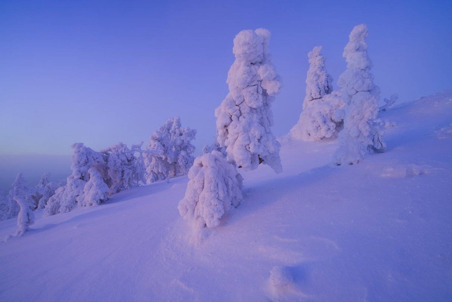 , Романский Владимир (NikonZoom)