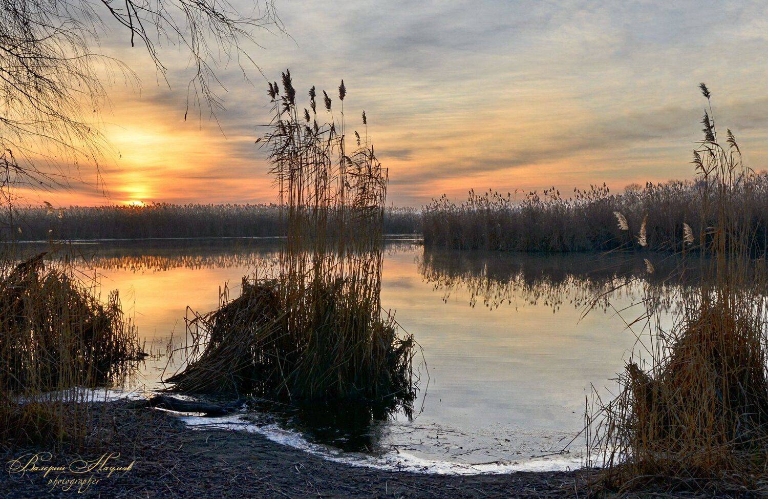 утро, рассвет, река, восход, зима, январь, плавни, камыш, Валерий Наумов