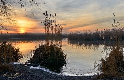 Январский рассвет в плавнях