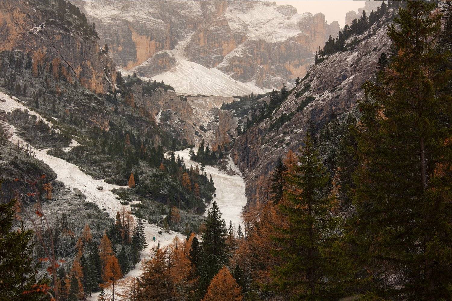 , Игорь Дубровский