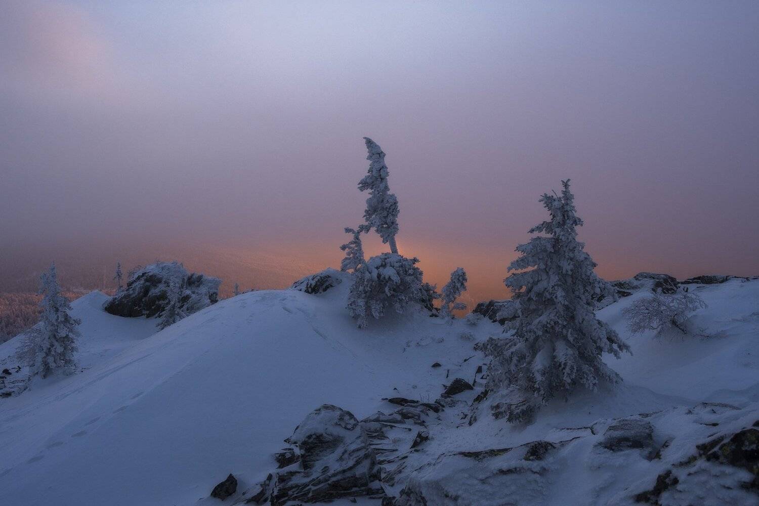 , Андрей Шарапов