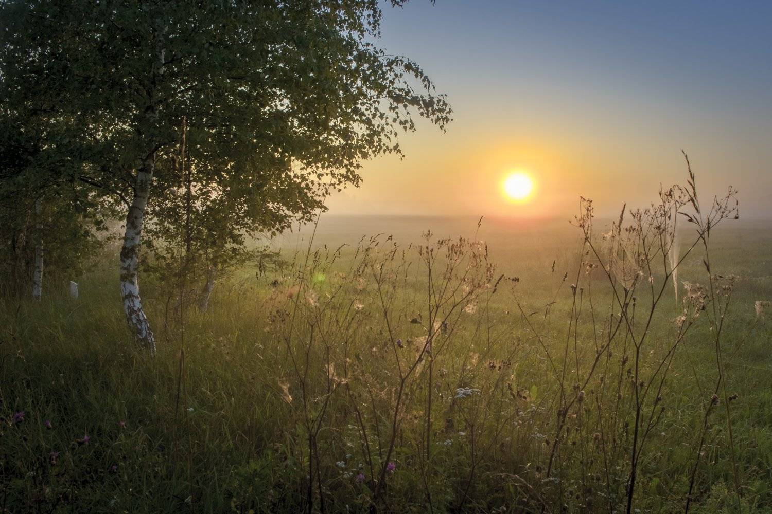 , Александр Кыров