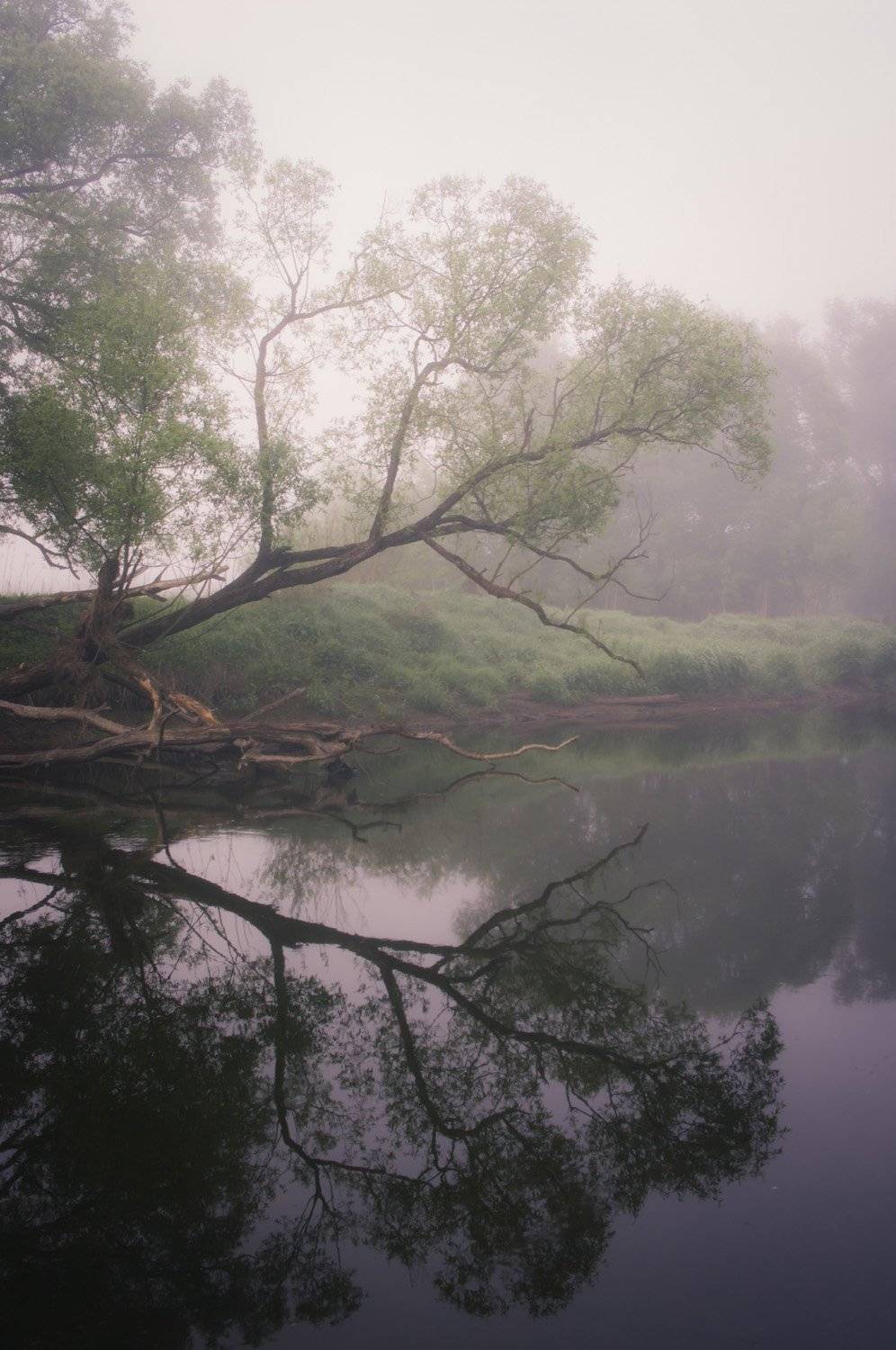 , Александр Кыров