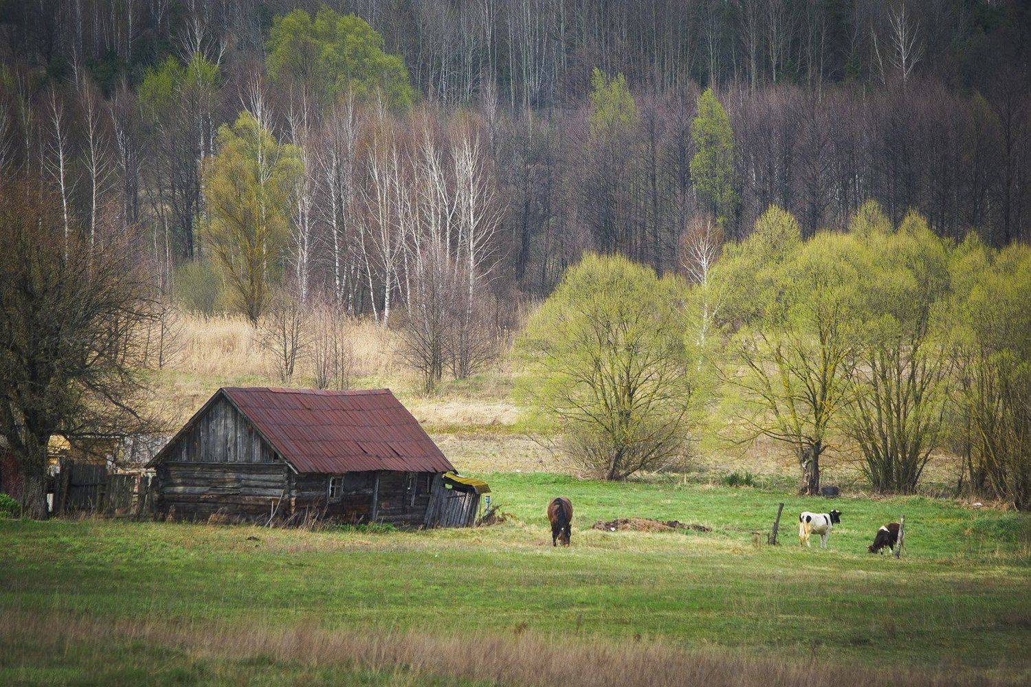 , Александр Кыров