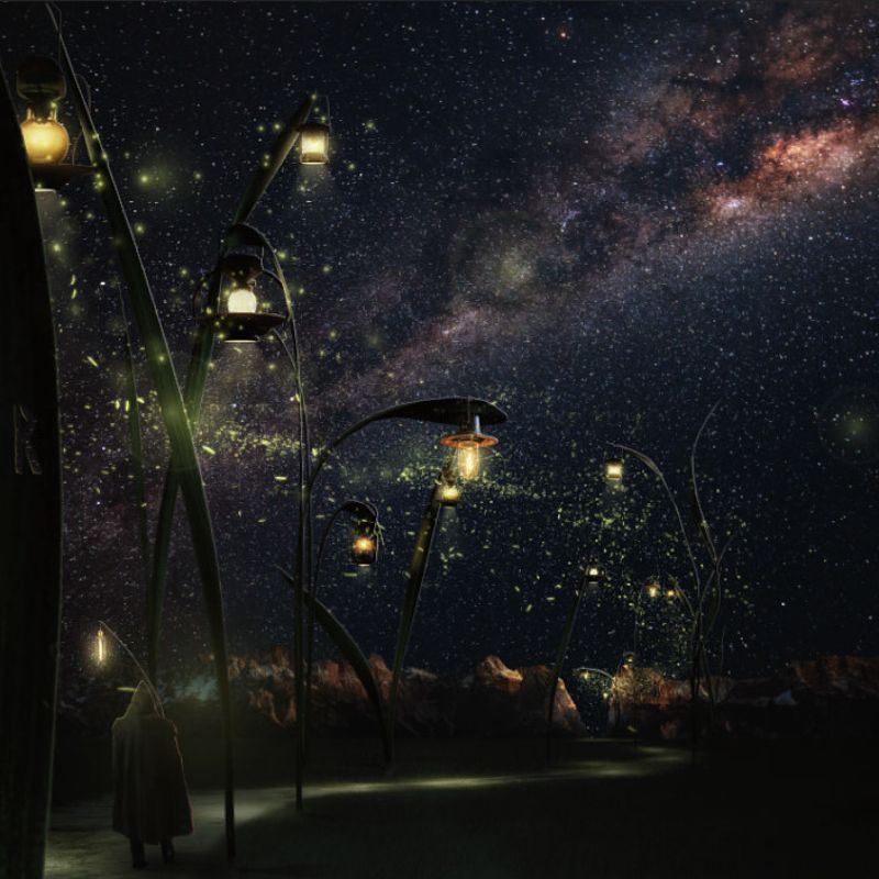 Дорога на Грасс Айленде фото превью