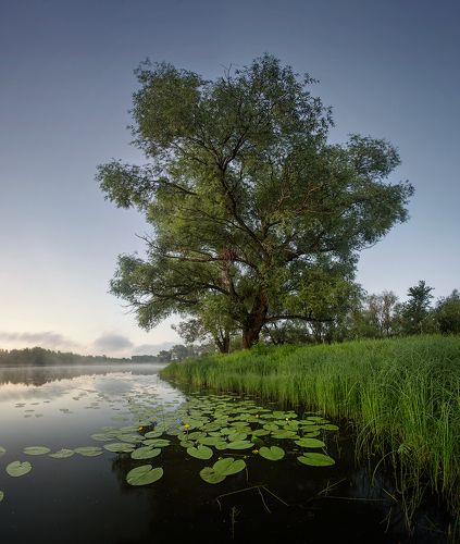 Стояло лето