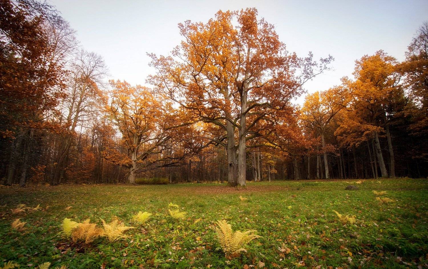 , александр таничев