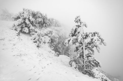 Зимой в горах