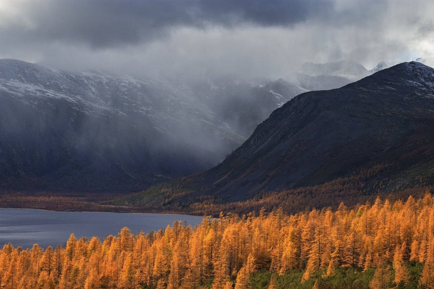 , Денис Лукьяненко