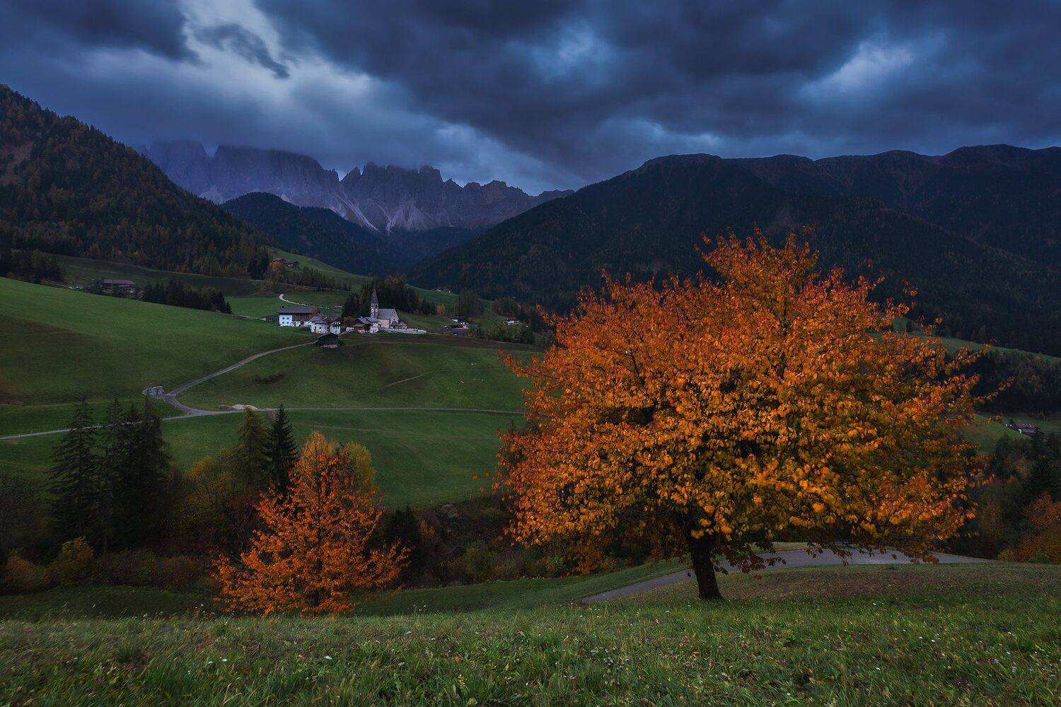 , Михаил Туркеев