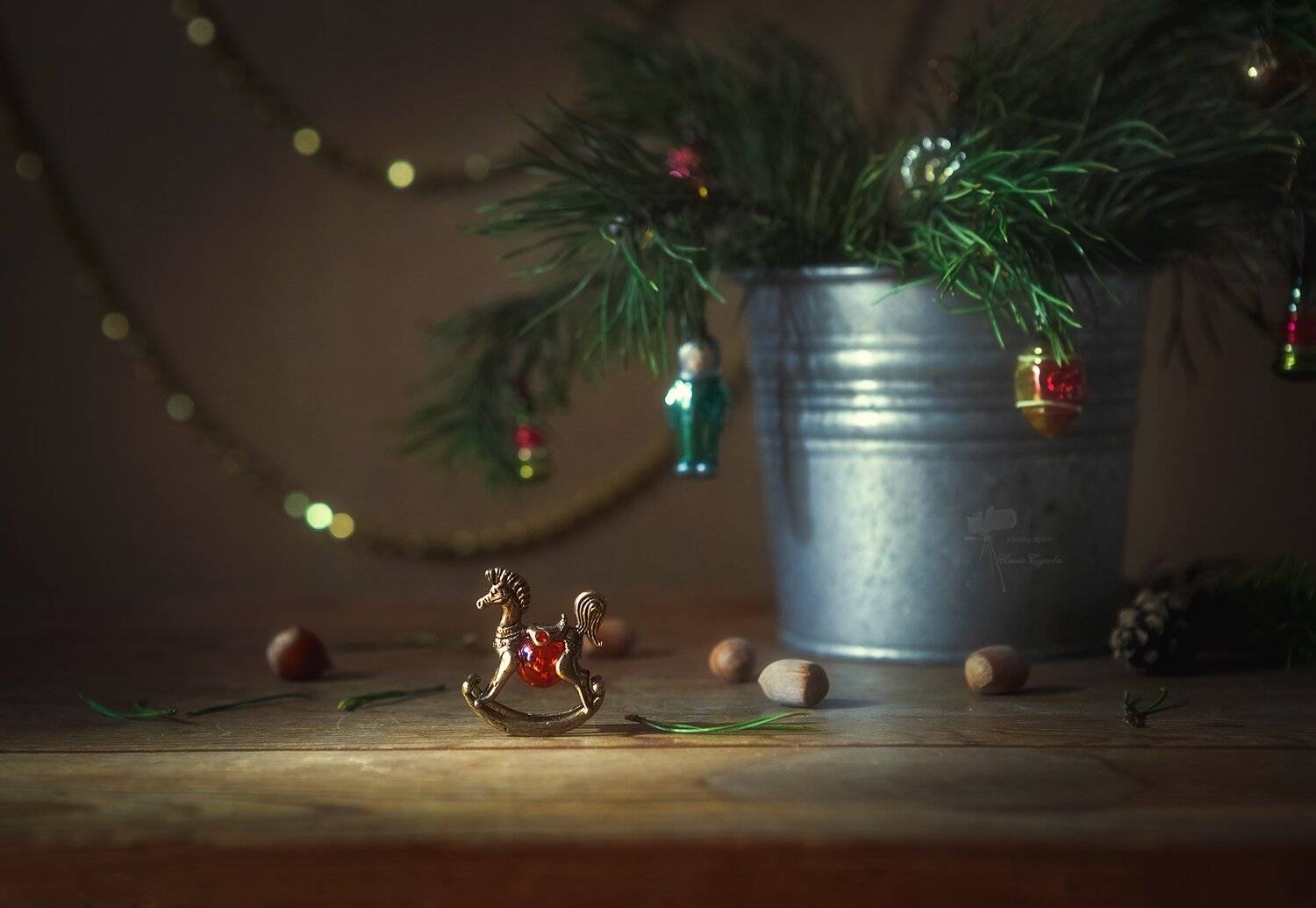 , Инна Сухова