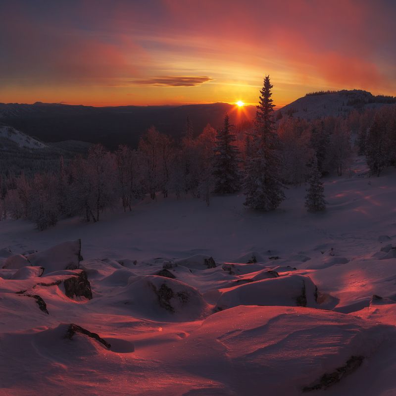 Трио фото превью