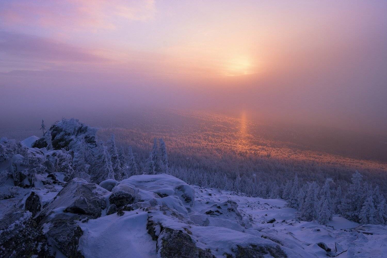 , Андрей Шарапов