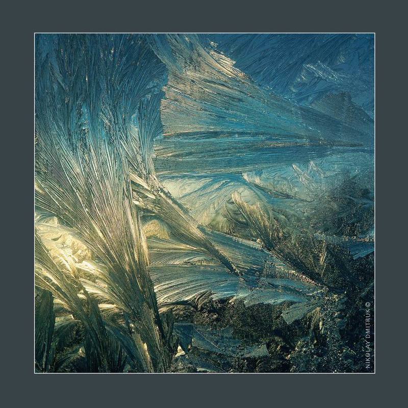 макро, мороз графика мороза 4 фото превью