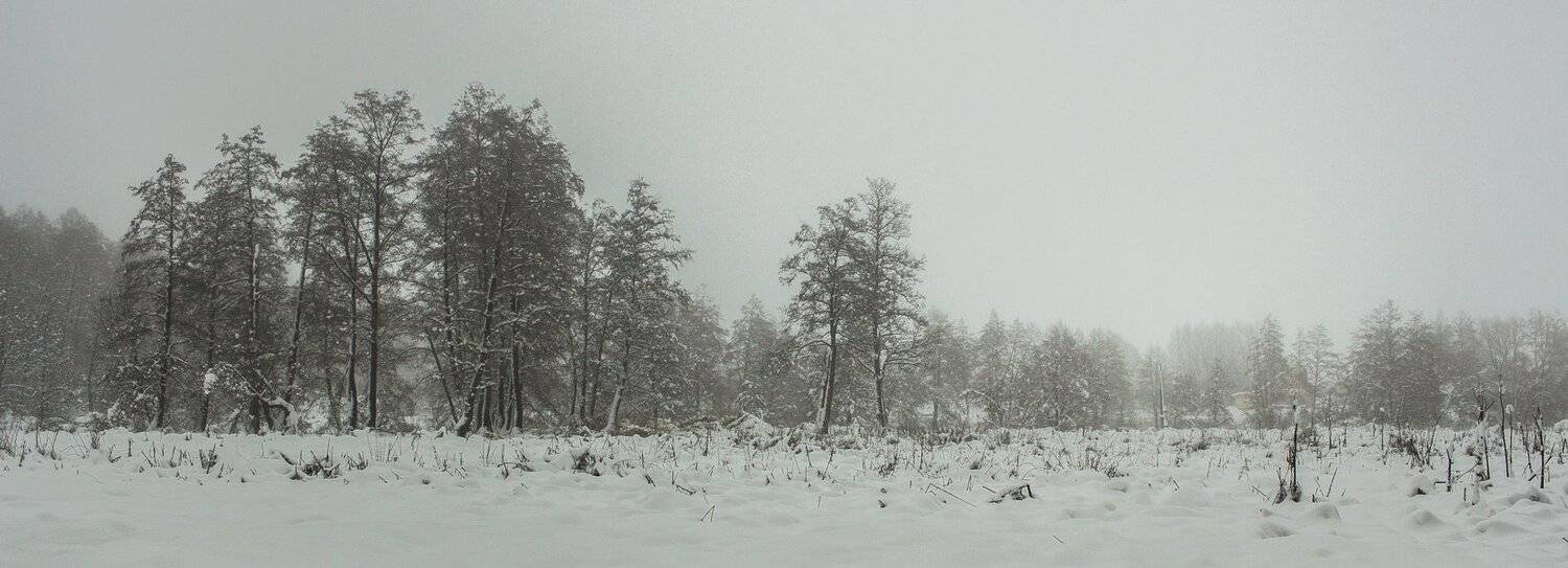 лес, зима, снег, туман, Руслан Востриков