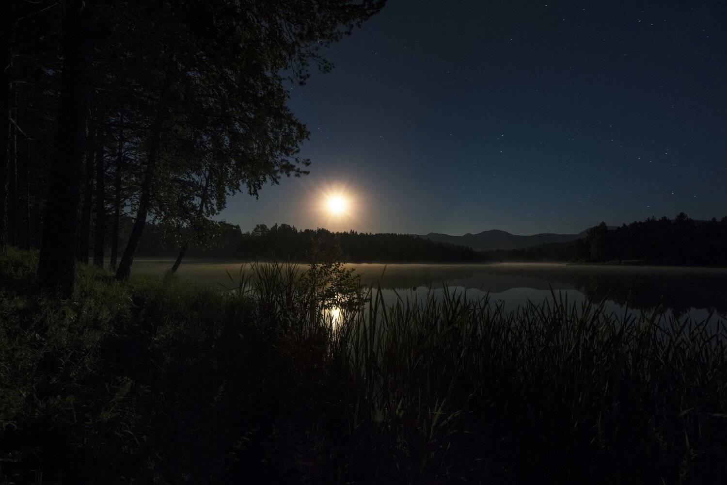 , Андрей Шарапов