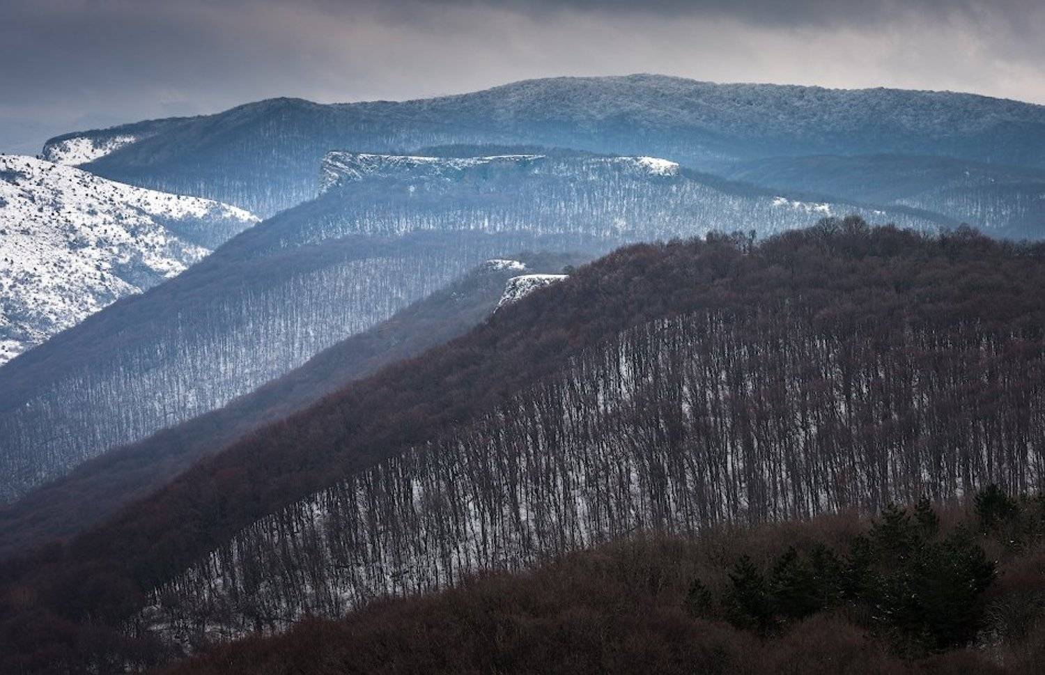 , Андрей Гусаченко