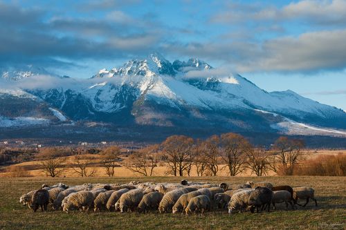 В Попрадской долине