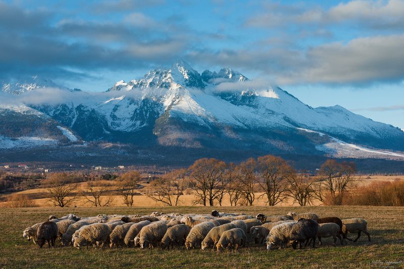 высоркие татры, словакия, татры, горы, европа, долина, попрад, попрадская долина, tatry, high tatras, tatras, poprad В Попрадской долине фото превью