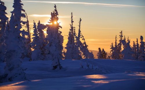 Шерегеш*ские зарисовки декабря.