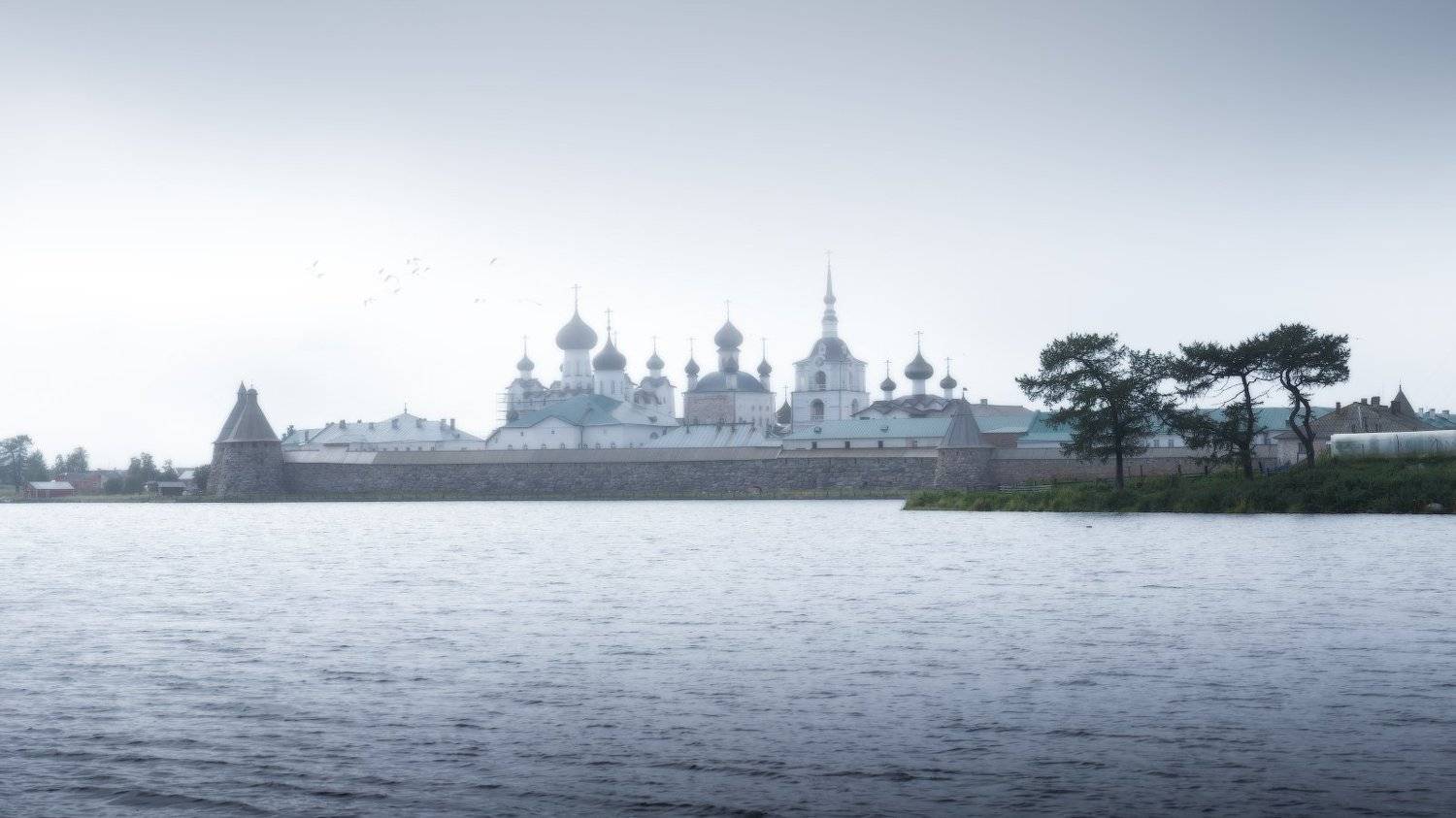 #dervod #drevo #Соловки, Демид Волков