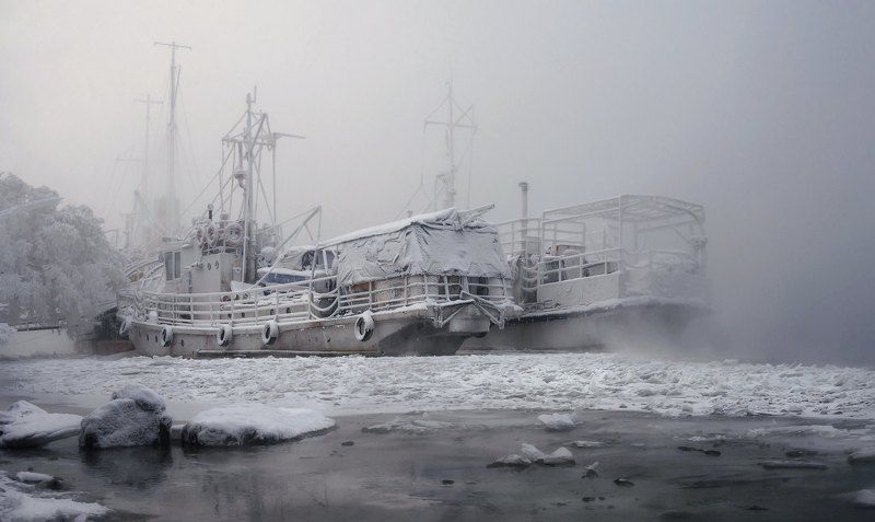 Зимние холода. фото превью