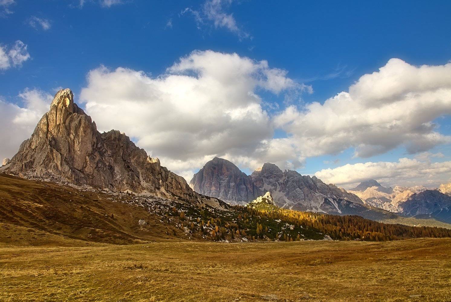 , Игорь Дубровский